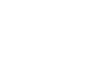 BLS International logo